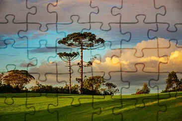 Toy jigsaw puzzle