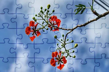 Toy jigsaw puzzle