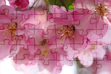 Toy jigsaw puzzle