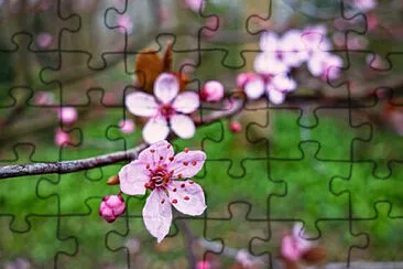 Toy jigsaw puzzle