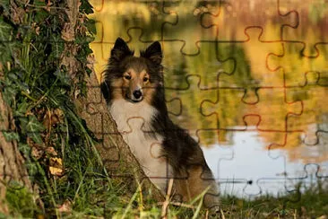 Toy jigsaw puzzle