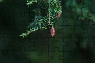 Toy jigsaw puzzle