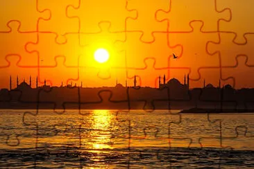 Roy jigsaw puzzle