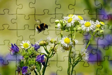 OK jigsaw puzzle