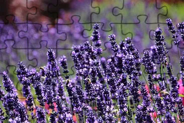 OK jigsaw puzzle