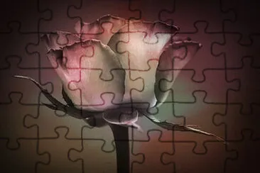 OK jigsaw puzzle