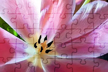 OK jigsaw puzzle