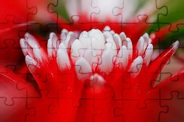 OK jigsaw puzzle