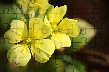 OK jigsaw puzzle