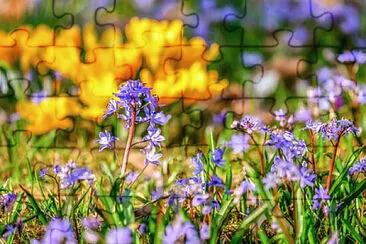 OK jigsaw puzzle