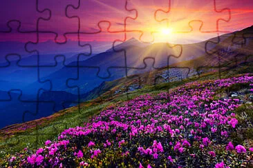 Foto jigsaw puzzle