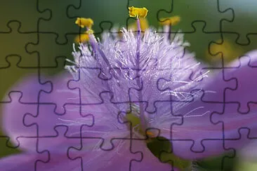 OK jigsaw puzzle