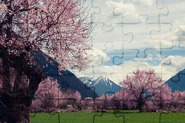 Foto jigsaw puzzle