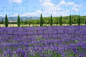 pop jigsaw puzzle