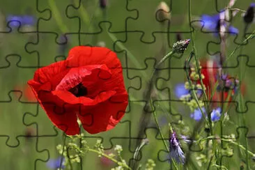 OK jigsaw puzzle