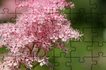 OK jigsaw puzzle