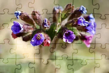 OK jigsaw puzzle