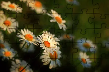 OK jigsaw puzzle