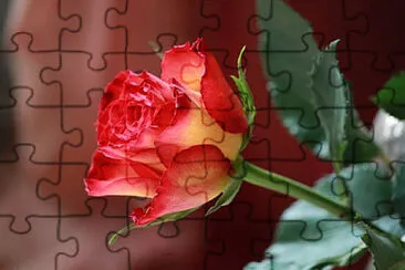 OK jigsaw puzzle