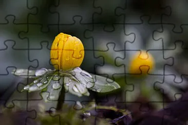 OK jigsaw puzzle