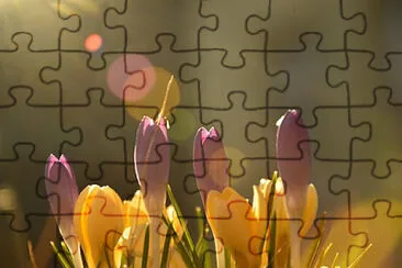 OK jigsaw puzzle