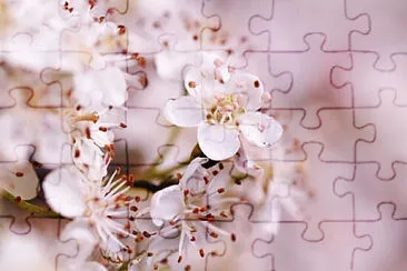 OK jigsaw puzzle