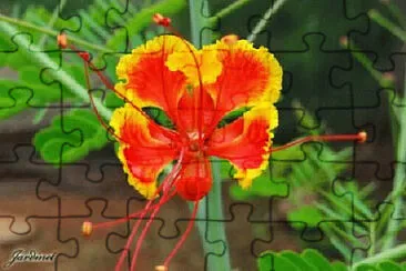 OK jigsaw puzzle