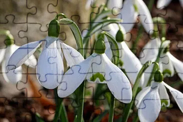 OK jigsaw puzzle