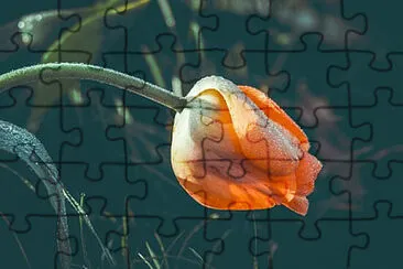 OK jigsaw puzzle