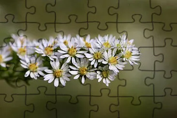 OK jigsaw puzzle