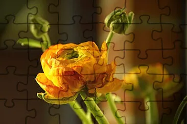 OK jigsaw puzzle