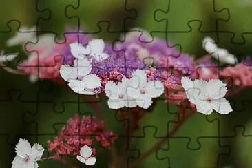 OK jigsaw puzzle