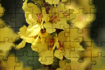 OK jigsaw puzzle