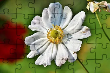 OK jigsaw puzzle