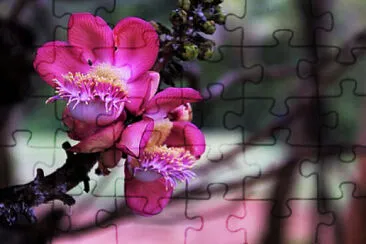 OK jigsaw puzzle