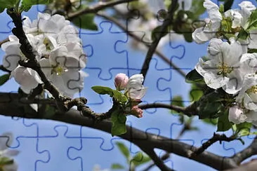 OK jigsaw puzzle