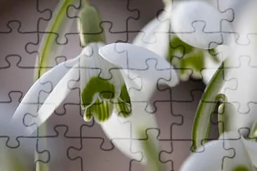 OK jigsaw puzzle