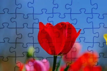 OK jigsaw puzzle