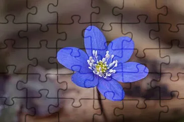 OK jigsaw puzzle