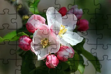 OK jigsaw puzzle