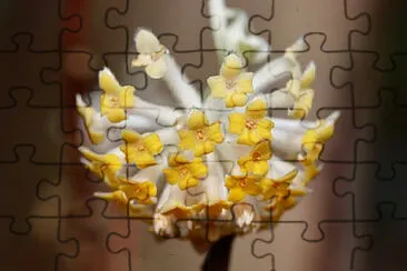 OK jigsaw puzzle