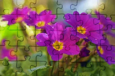 OK jigsaw puzzle