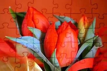 OK jigsaw puzzle