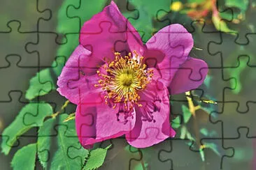 OK jigsaw puzzle