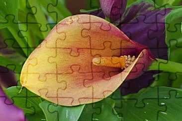 OK jigsaw puzzle