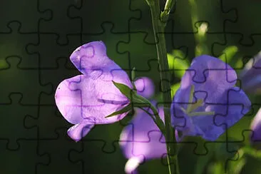 OK jigsaw puzzle