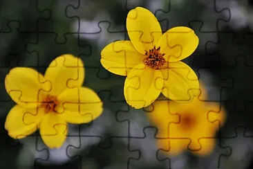 OK jigsaw puzzle