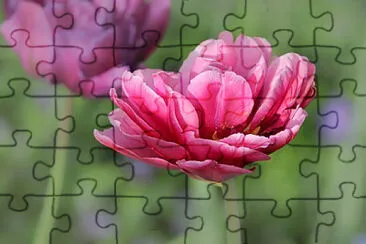 OK jigsaw puzzle