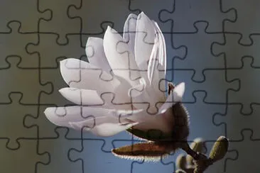 OK jigsaw puzzle