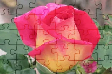 OK jigsaw puzzle